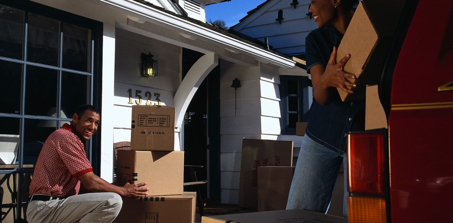 Moving and Pets