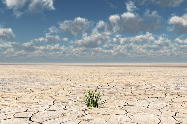 Don’t tell me to be resilient! … instead, show me how