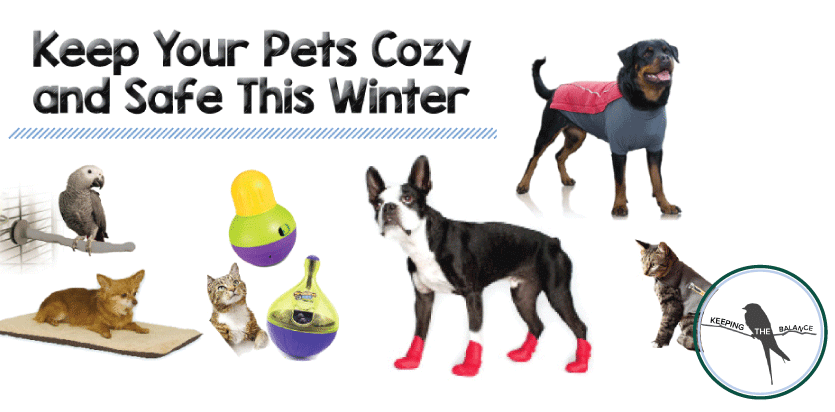 KEEP YOUR PETS COZY AND SAFE THIS WINTER