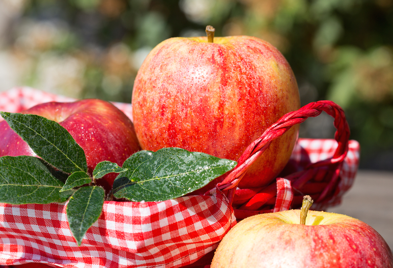 What's in Season? Apples - Canadian Food Focus